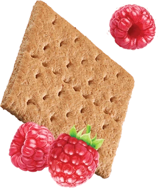 Honey Maid graham crackers with raspberries